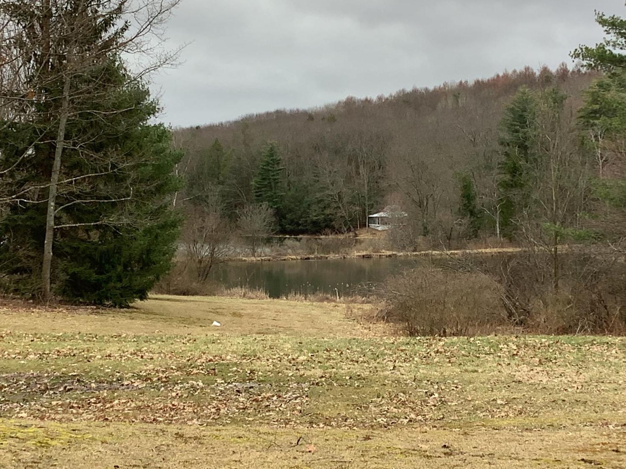 Holiday home Mighty Oak Near Sayre Towanda